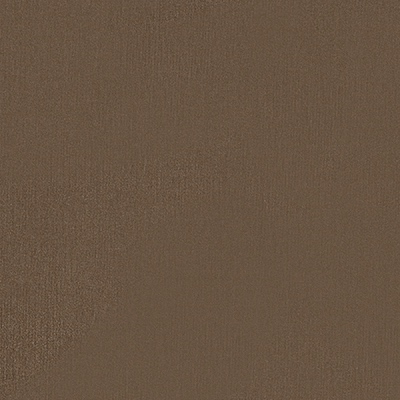 Fabric Swatch:  Play Mocha