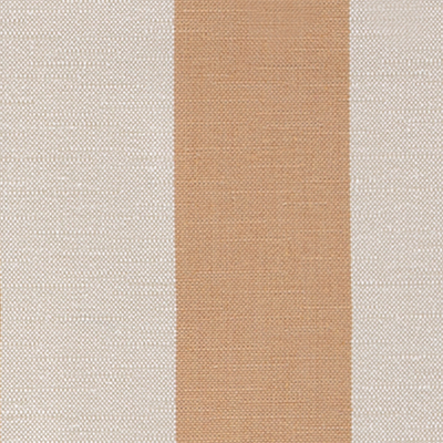 Fabric Swatch:  Rue Peach