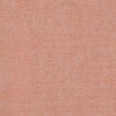 Fabric Swatch:  Idol Coral