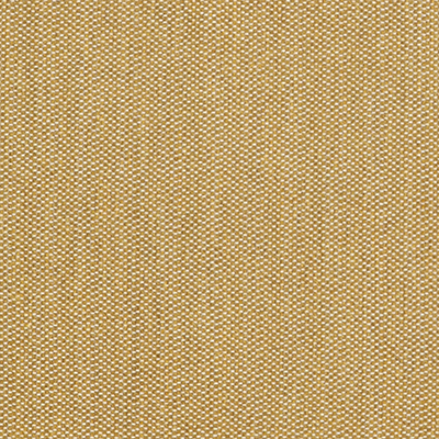 Fabric Swatch:  Suelo Mustard