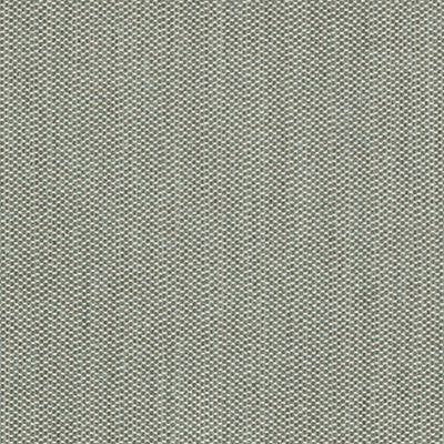 Fabric Swatch:  Suelo Mist